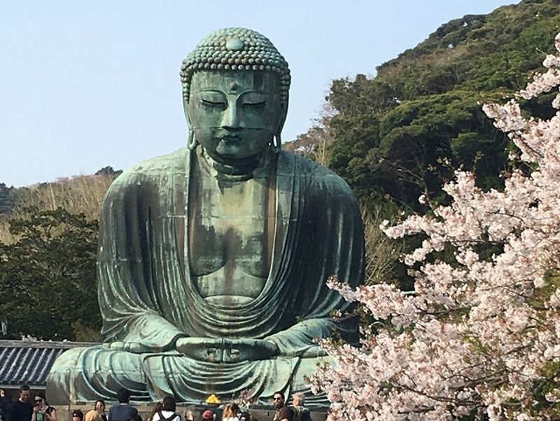 Tokyo Private Tour - Great Buddha