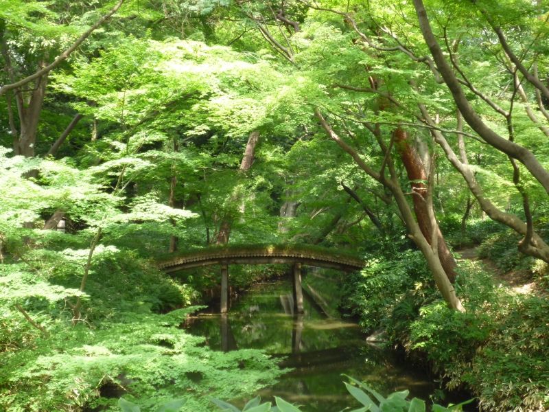 Tokyo Private Tour - Die Brücke im Rikugien-Garten im Sommer.