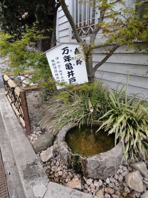 Hiroshima Private Tour - Good quality water is a must for sake-making. There are many wells next to Sake breweries. You may touch and taste it.