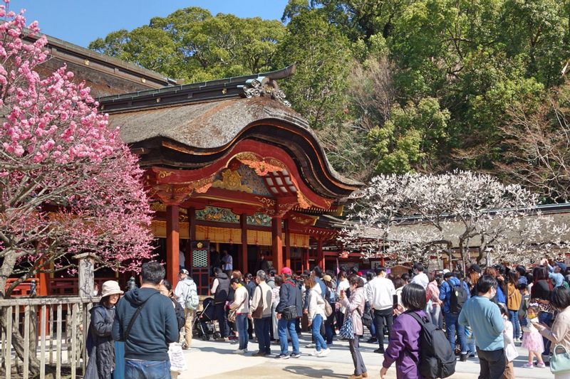 Fukuoka Private Tour - Dazaifu Tenmangu, un grand sanctuaire shintoïste