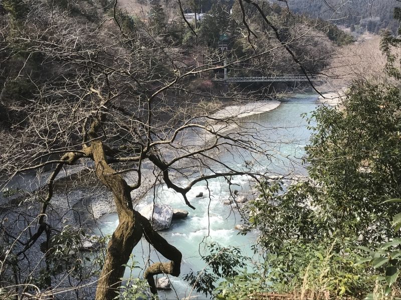 Tokyo Private Tour - Tamagawa river viewed from garden of Sawanoi Hair Ornament Museum