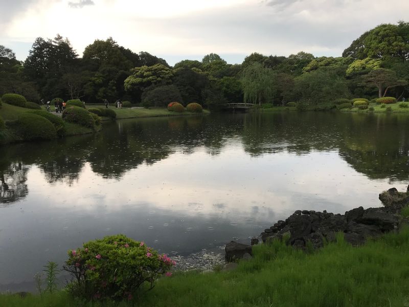 Tokyo Private Tour - Early summer day in Shinjuku Gyoen