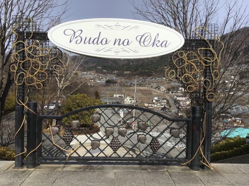 Yamanashi Private Tour - Budo no oka( grape hill)