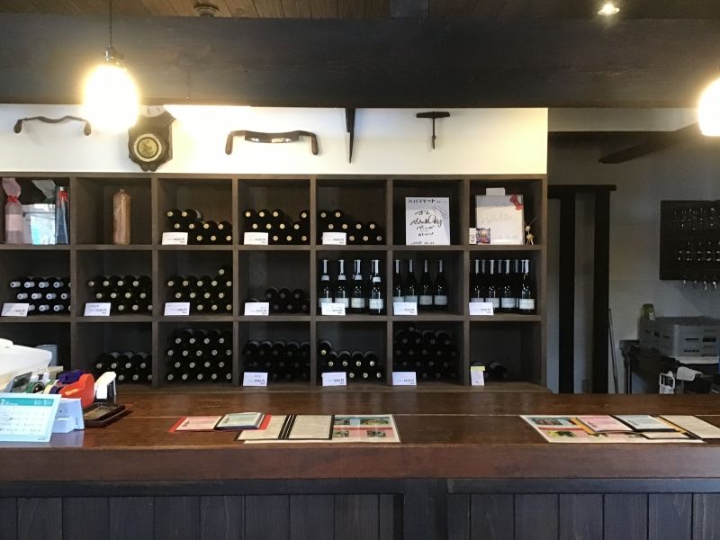 Yamanashi Private Tour - Wine tasting