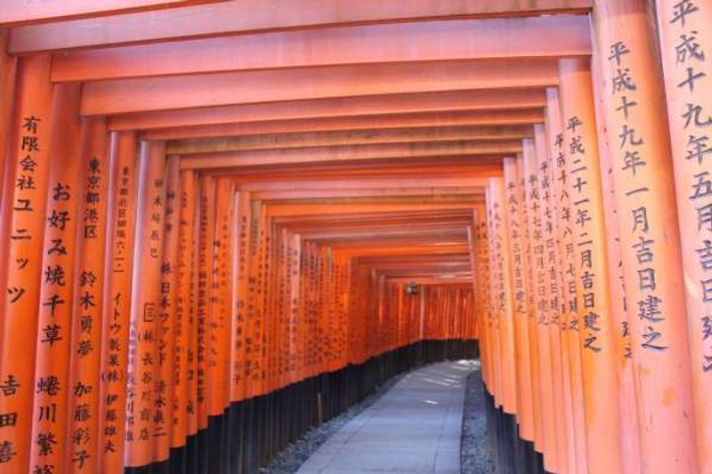 Kyoto Private Tour - The 1000 Trii-gates in Fushimi Inari shrine.