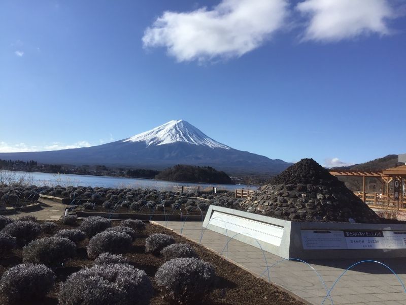 lake kawaguchiko day trip reddit