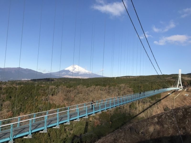 Shizuoka Private Tour - Mishima Skywalk which is the longest pedestrian  bridge