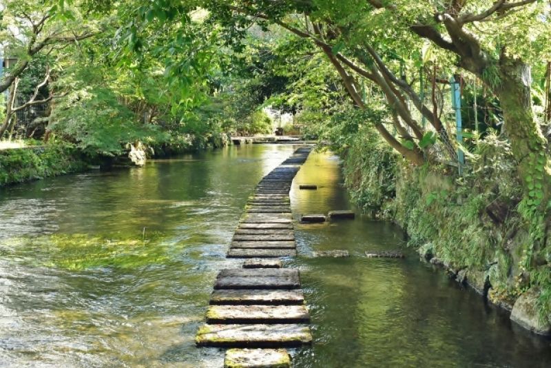 Shizuoka Private Tour - quite clean water of Genbeigawa river 