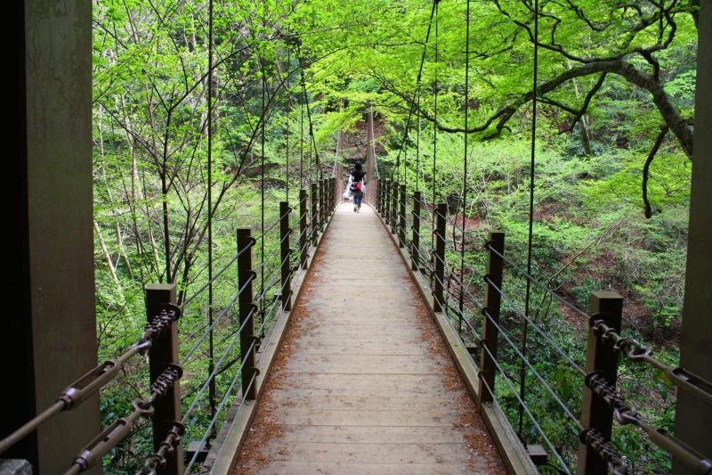 Tokyo Private Tour - Suspension bridge on the trail