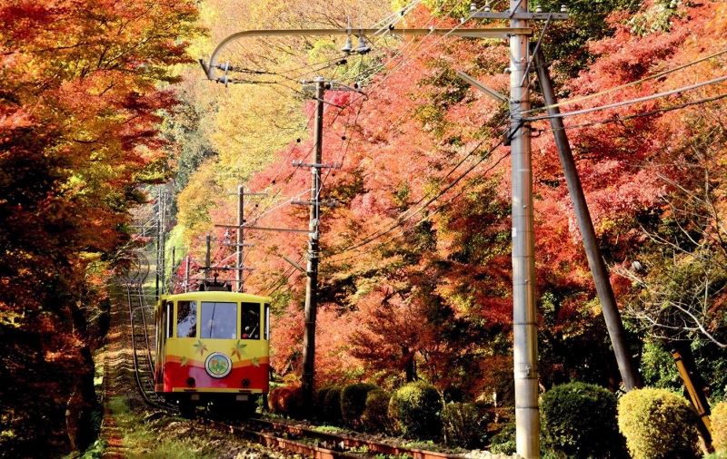 Tokyo Private Tour - Cable car