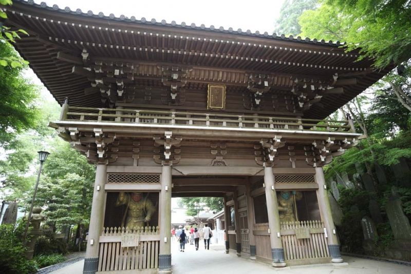 Tokyo Private Tour - Shinonno-mon Gate of Yakuo-in 