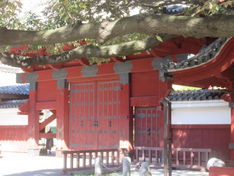 Tokyo Private Tour - Akamon, or red gate. This gate is symbolic gate of Tokyo University.
This site used to be the mansion of Maeda family, one of the strongest daimyou whose domain was Kaga (or Kanazawa). 
