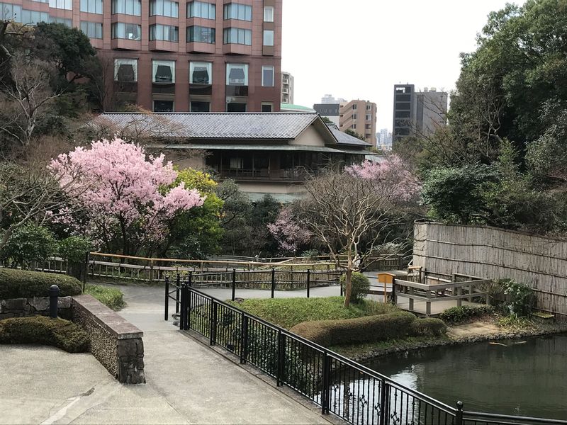 Tokyo Private Tour - Garden of Hotel Chinzanso on a spring day in March