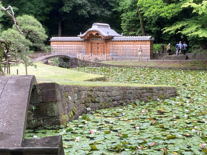 Tokyo Private Tour - Karamon gate in Koishikawa Korakuen's inner garden on a fine day in the rainy season