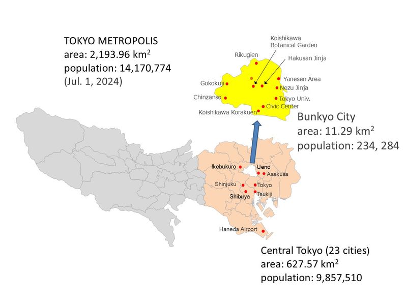 Tokyo Private Tour - Bunkyo City is located in the heart of Tokyo.