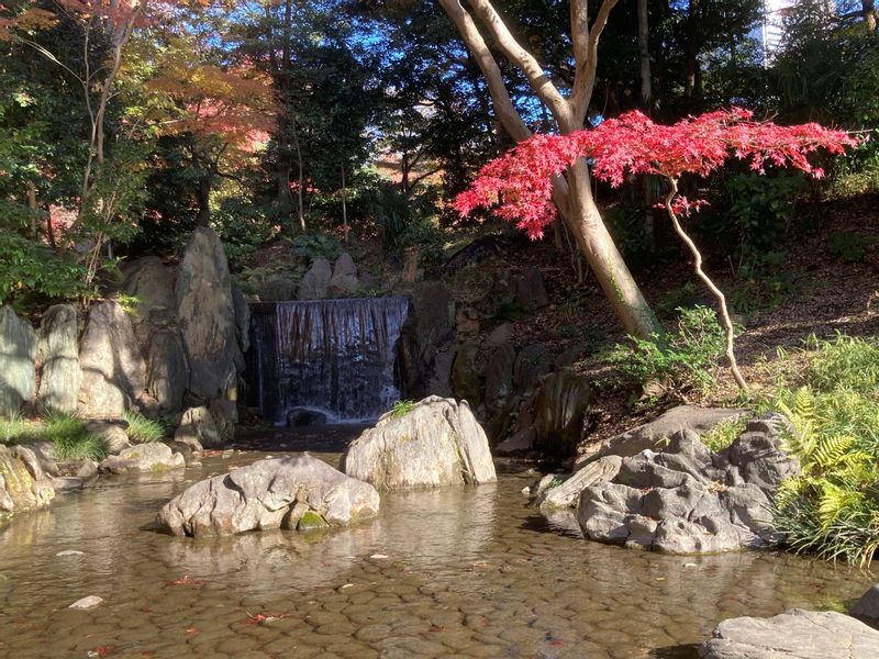 Tokyo Private Tour - A waterfall in Koishikawa Korakuen in winter