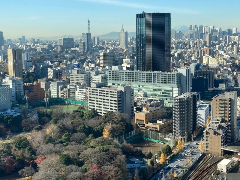 Tokyo Private Tour - View from Bunkyo Civic Center Observation Deck