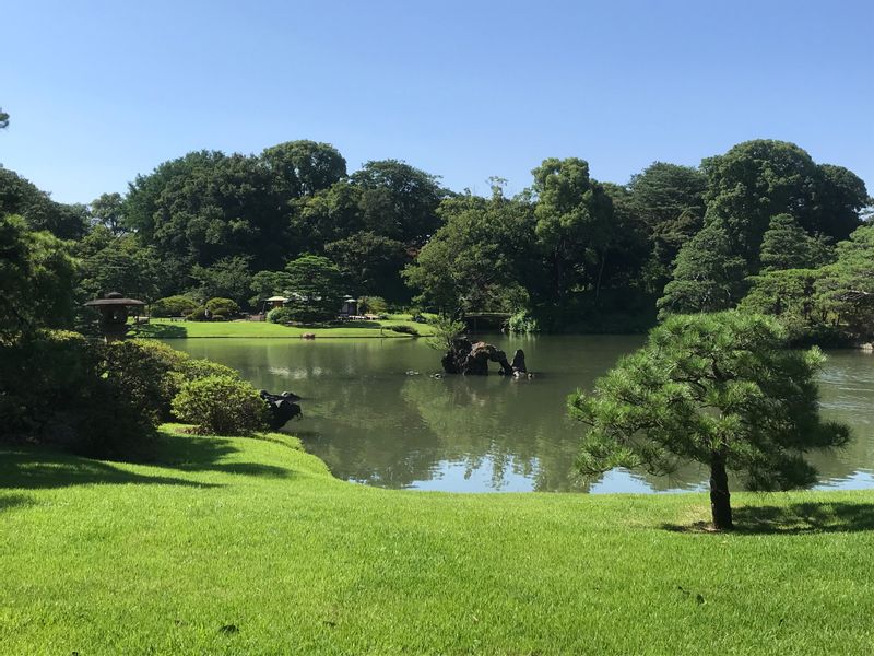 Tokyo Private Tour - A sunny summer day in Rikugien