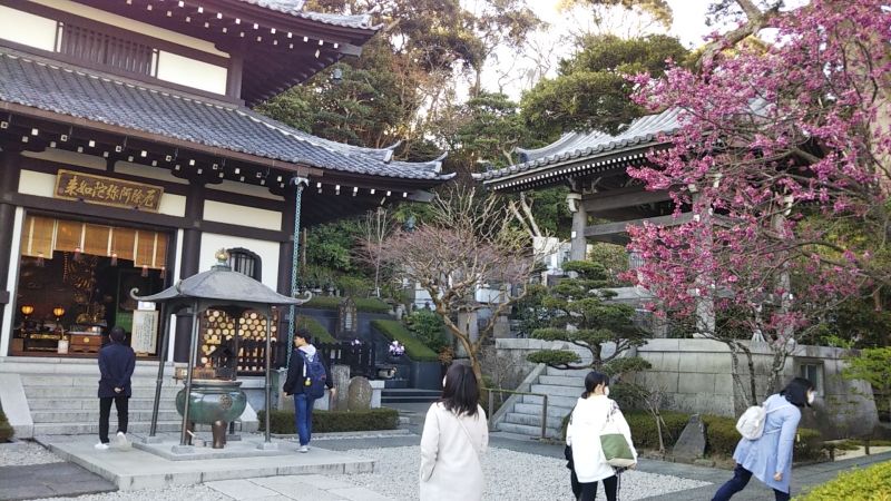 Kamakura Private Tour - Hase Temple