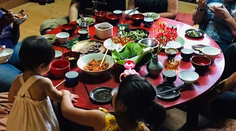 Nara Private Tour - farmer's lunch (option)