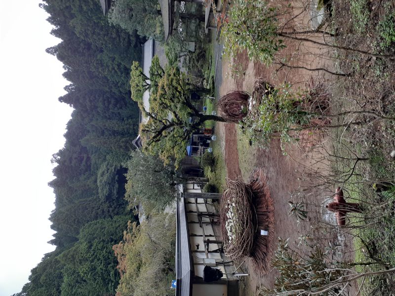 Mount Koya Private Tour - In KONGOSANMAIIN