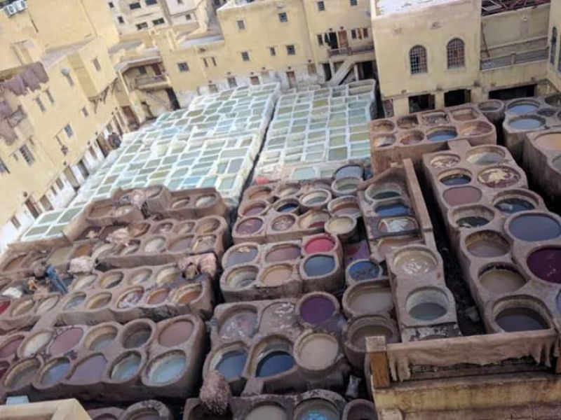 Fes Private Tour - The biggest Tannery of leather is amazing, a hard job and beautiful art.