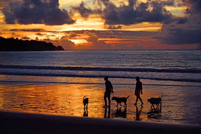 Bali Private Tour - Sunset at Jimbaran bay