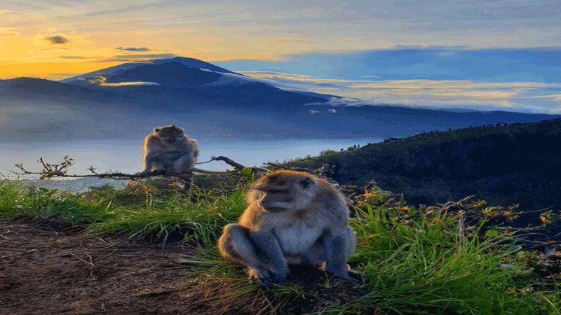 Bali Private Tour - At the top of Mount Batur