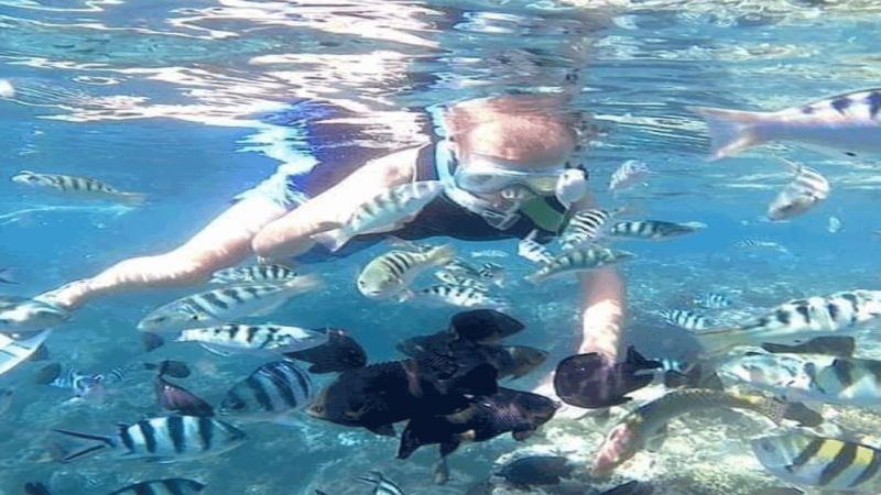 Bali Private Tour - Snorkeling in Tanjung Jepun