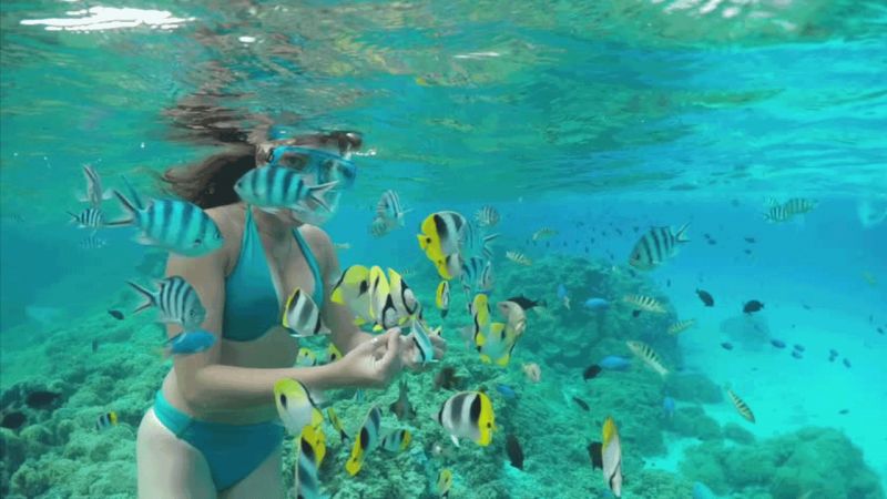 Bali Private Tour - Snorkeling Blue Lgoon