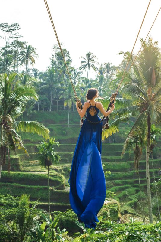 Bali Private Tour - Swing