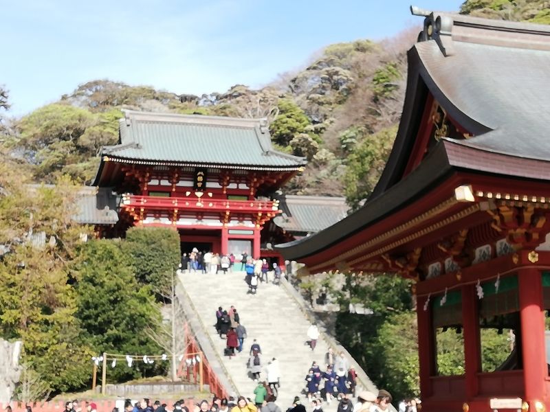 Tokyo Private Tour - Tsurugaoka Hachimangu Shrine