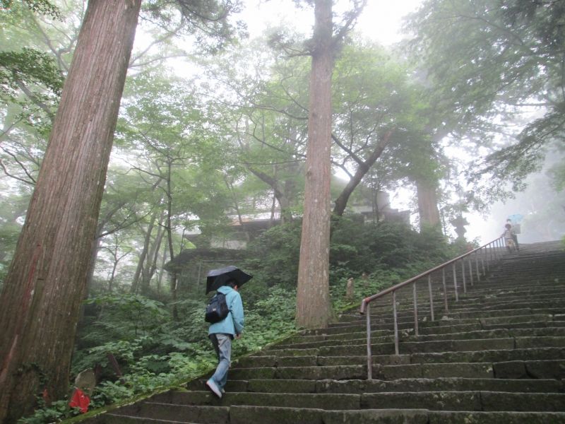 Tottori Private Tour - Mt. Daisen: hike to the old temple