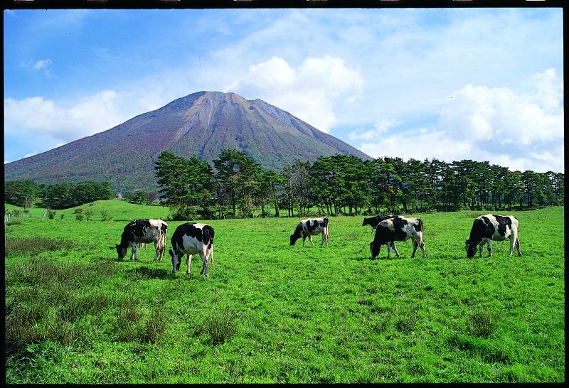 Tottori Private Tour - Mt. Daisen   (©Tottori Prefecture)