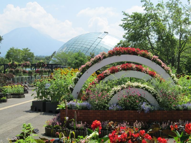 Tottori Private Tour - Tottori Flower Park