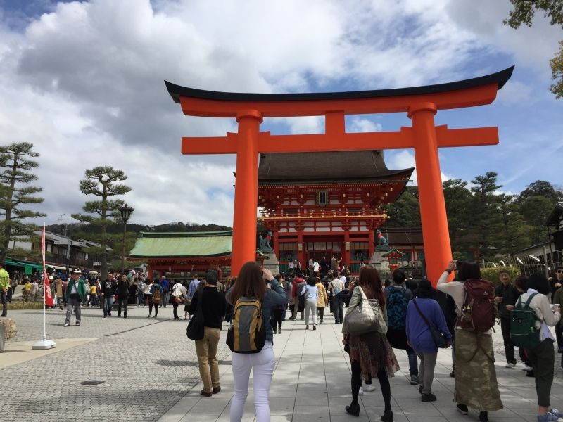 Kyoto 6 Hour Tour Fushimi Inari Arashiyama Kinkakuji Kyoto Gowithguide