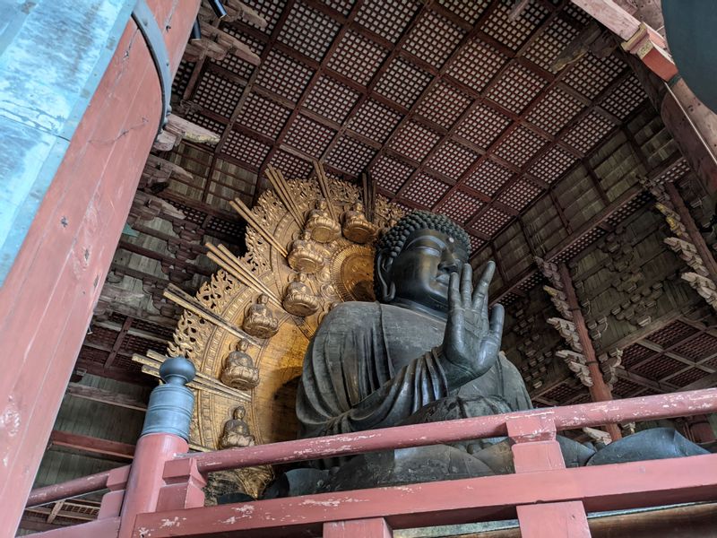 Nara Private Tour - Big Buddha of Nara