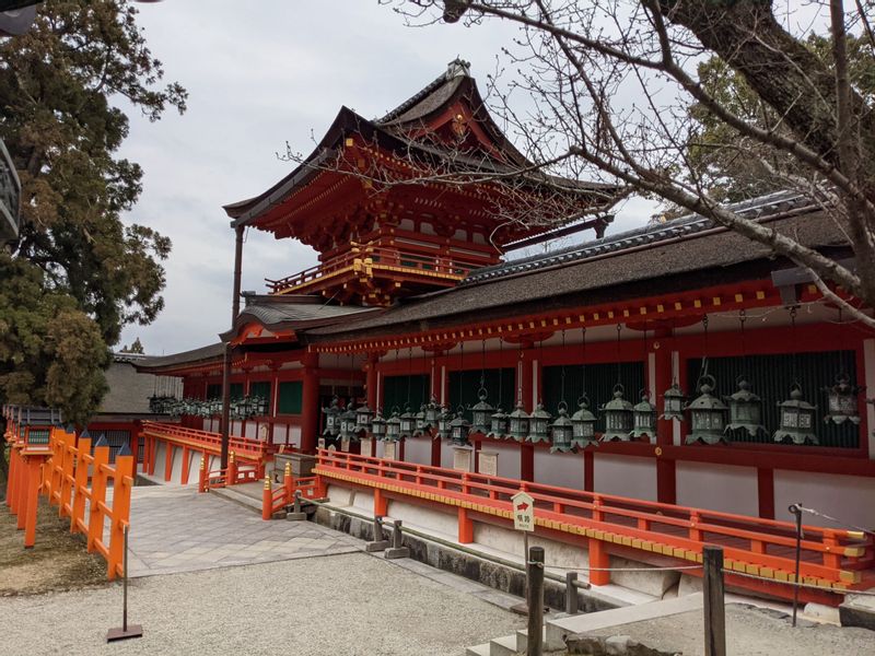 Nara Private Tour - Kasuga-taisha Shrine