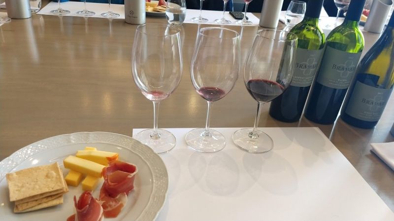 Mendoza Private Tour - Wine tasting