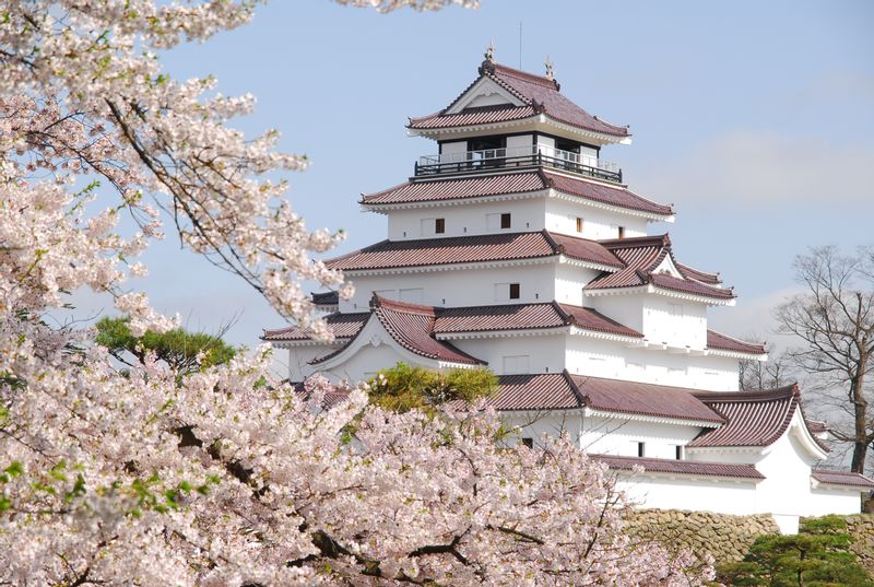 Fukushima Private Tour - Tsurugajo Castle