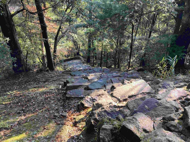 Kumano Private Tour - Very steep stone steps to Kamikura shrine.