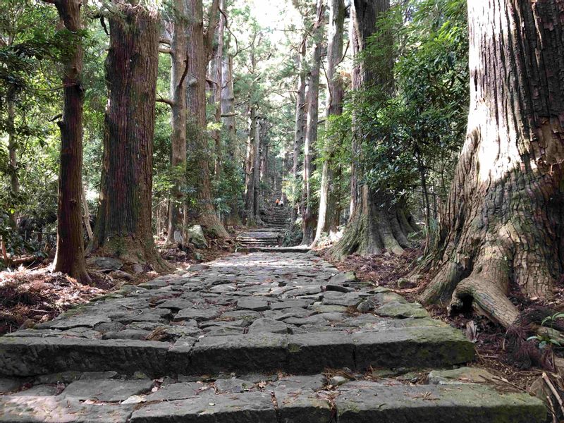 Kumano Private Tour - Daimon zaka slope, pilgrimage route.