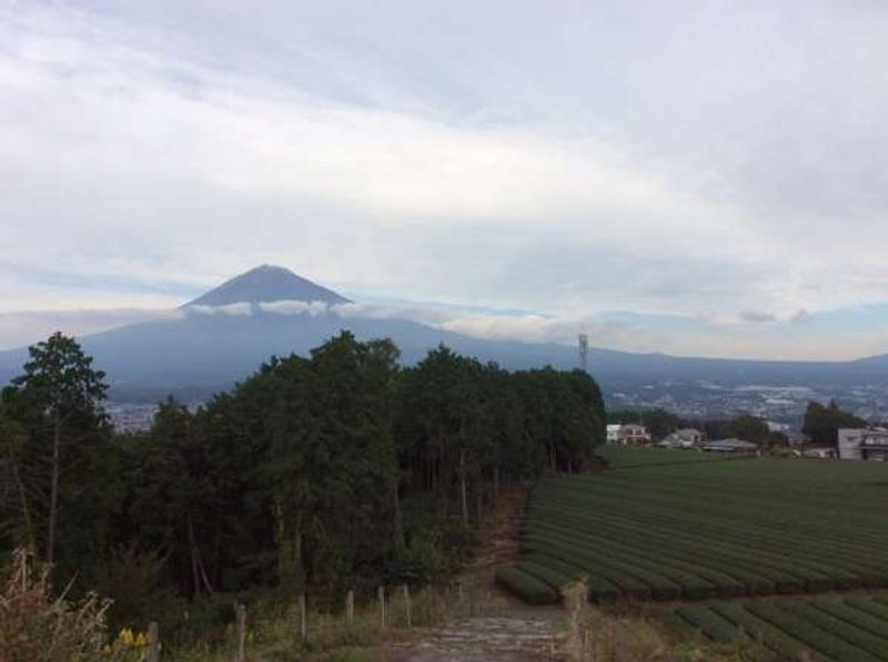 Mount Fuji Private Tour - 