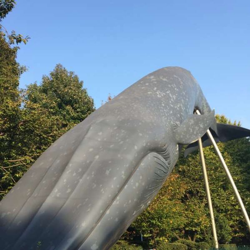 Tokyo Private Tour - The statue of a whale in front of National Museum of Nature and Science