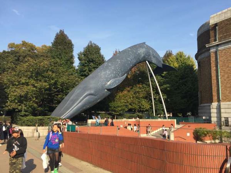 Tokyo Private Tour - The statue of a whale in front of National Museum of Nature and Science