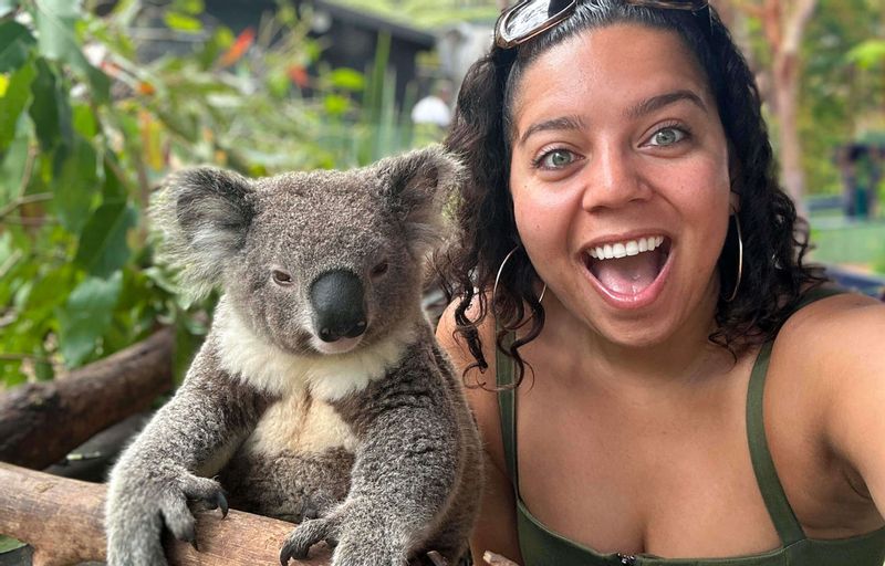 Sydney Private Tour - You can't get any closer to a koala than this! :)