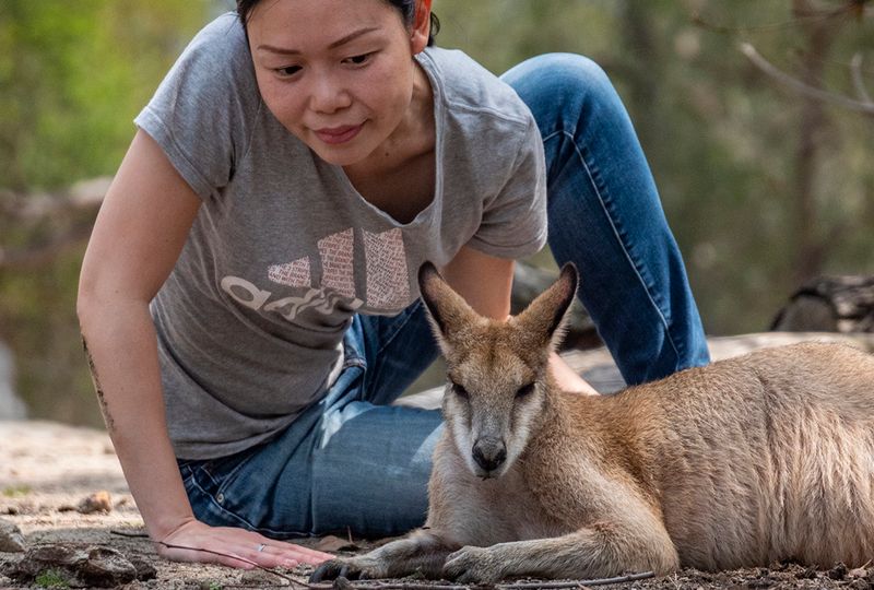 Sydney Private Tour - Sit and chat with kangaroos!