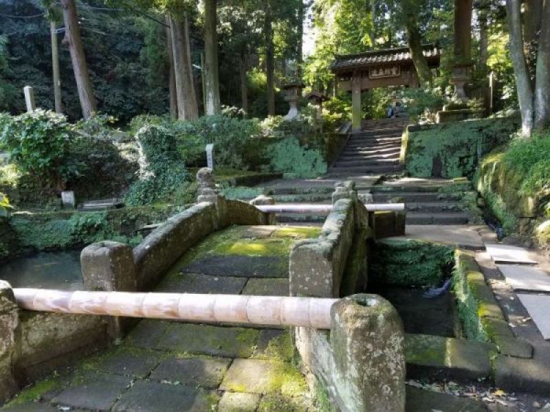 Kamakura Private Tour - The impressive approach covered with green mosses