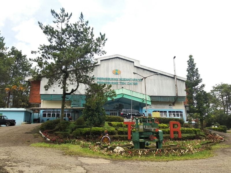 West Java Private Tour - Tea factory