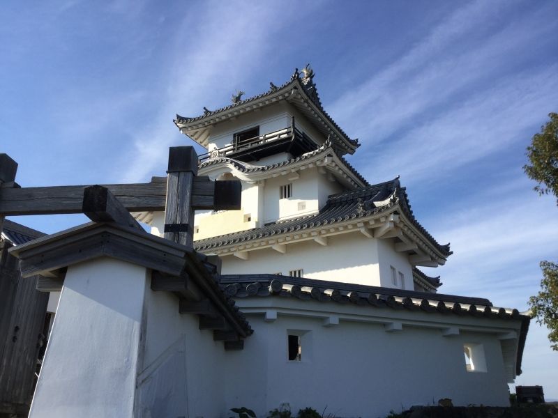 Other Shizuoka Locations Private Tour - Kakegawa Castle